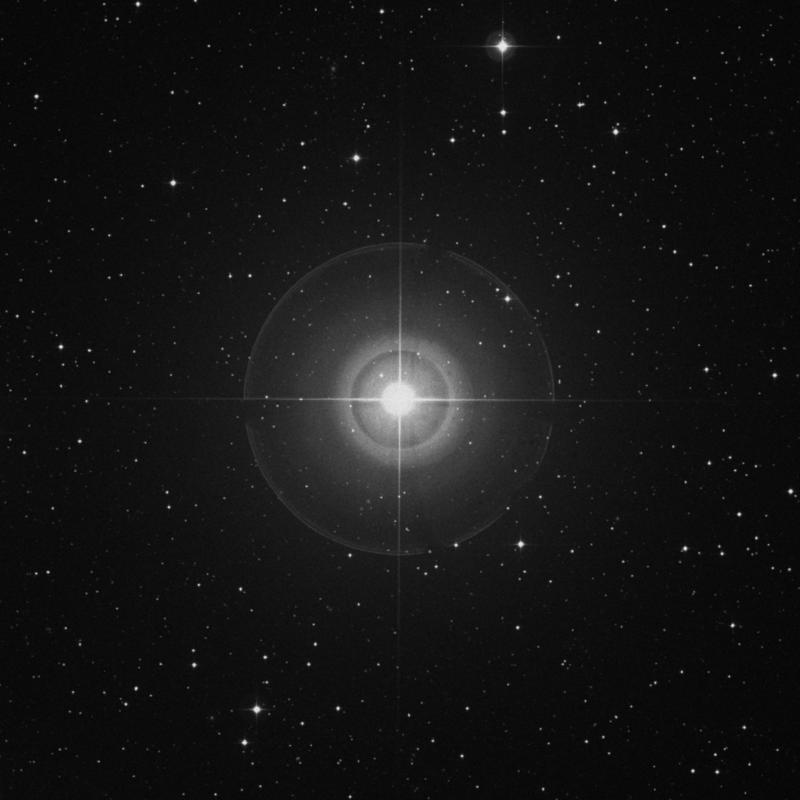 Image of Tarf - β Cancri (beta Cancri) star