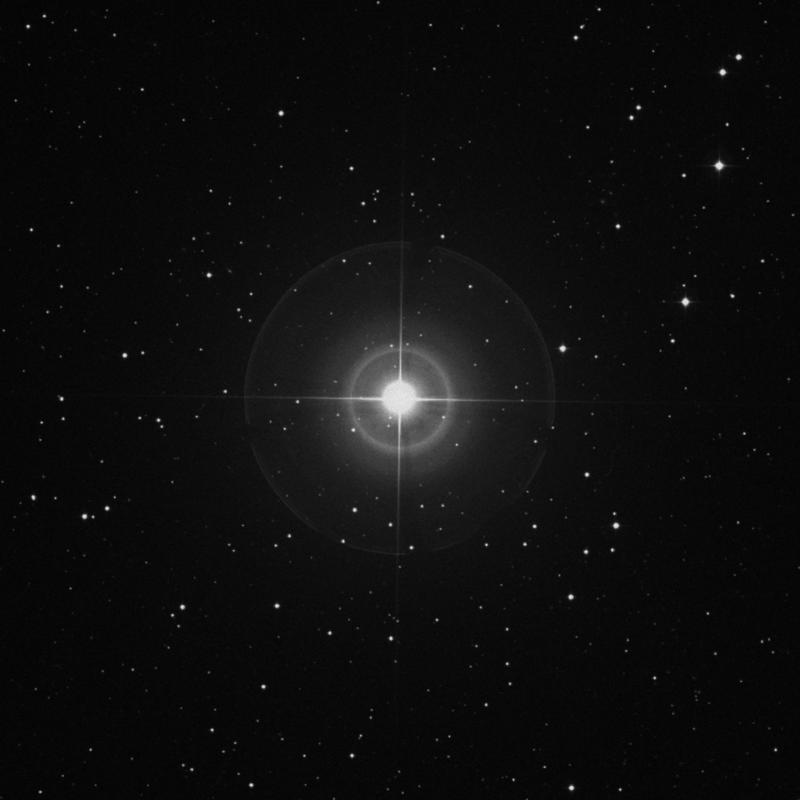 Image of Alsciaukat - 31 Lyncis star