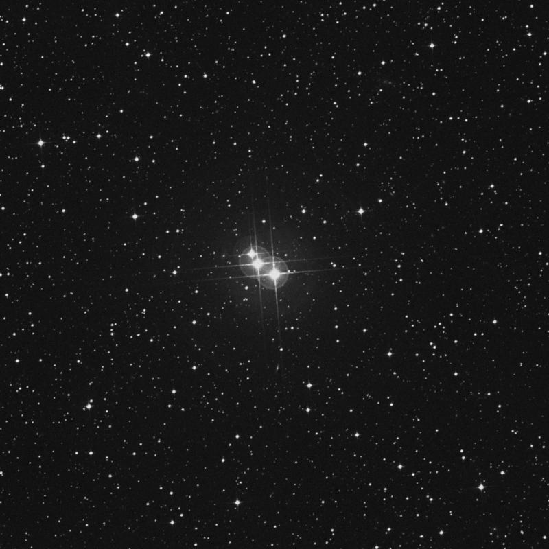 Image of κ1 Volantis (kappa1 Volantis) star