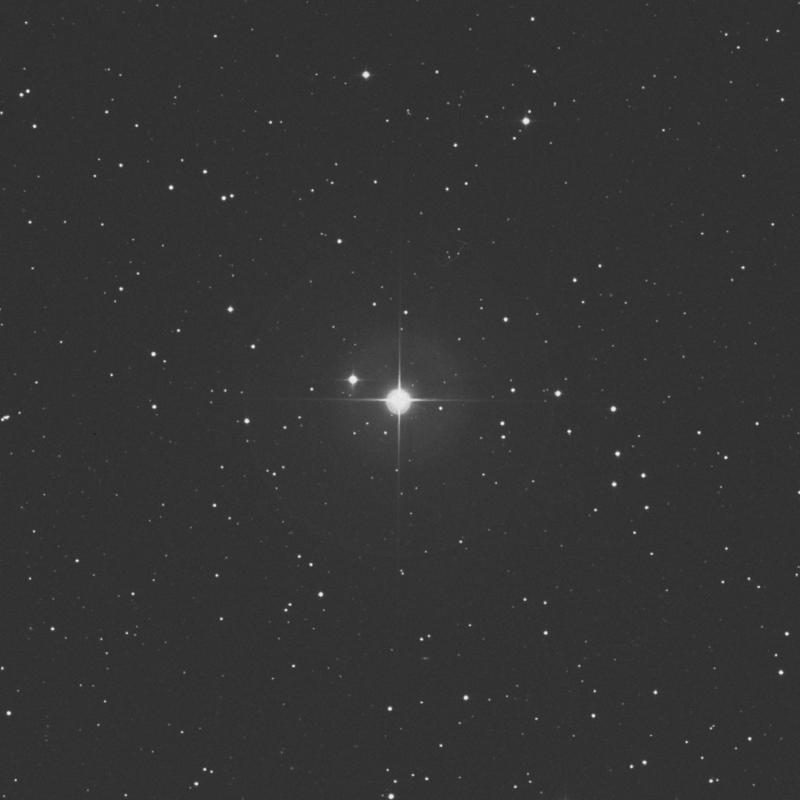 Image of Asellus Borealis - γ Cancri (gamma Cancri) star