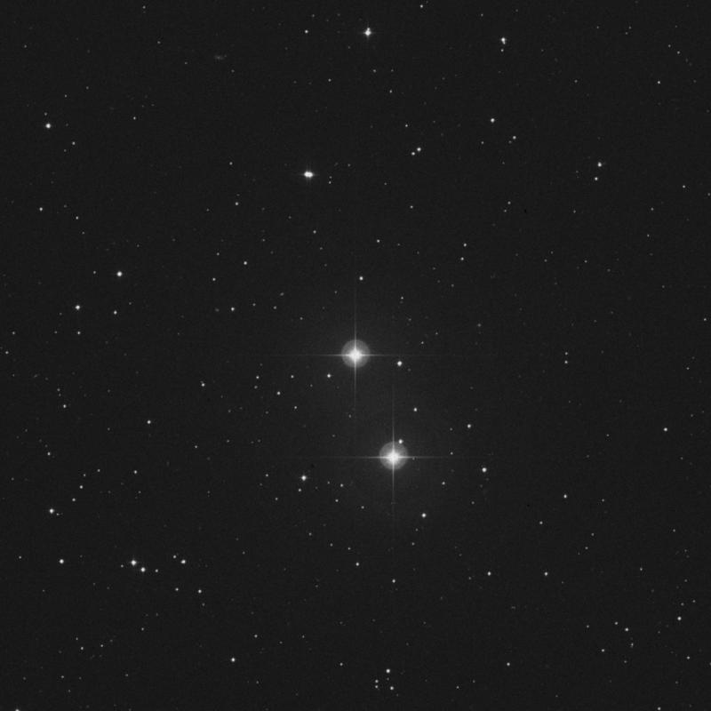 Image of Copernicus - ρ1 Cancri (rho1 Cancri) star
