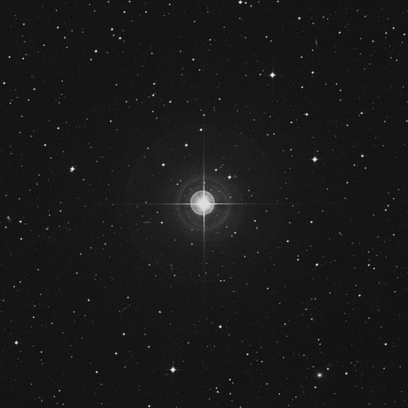 Image of 23 Hydrae star