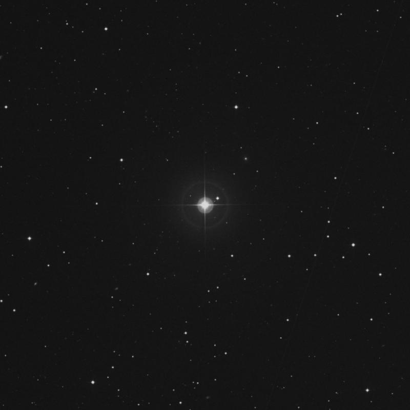 Image of 42 Lyncis star