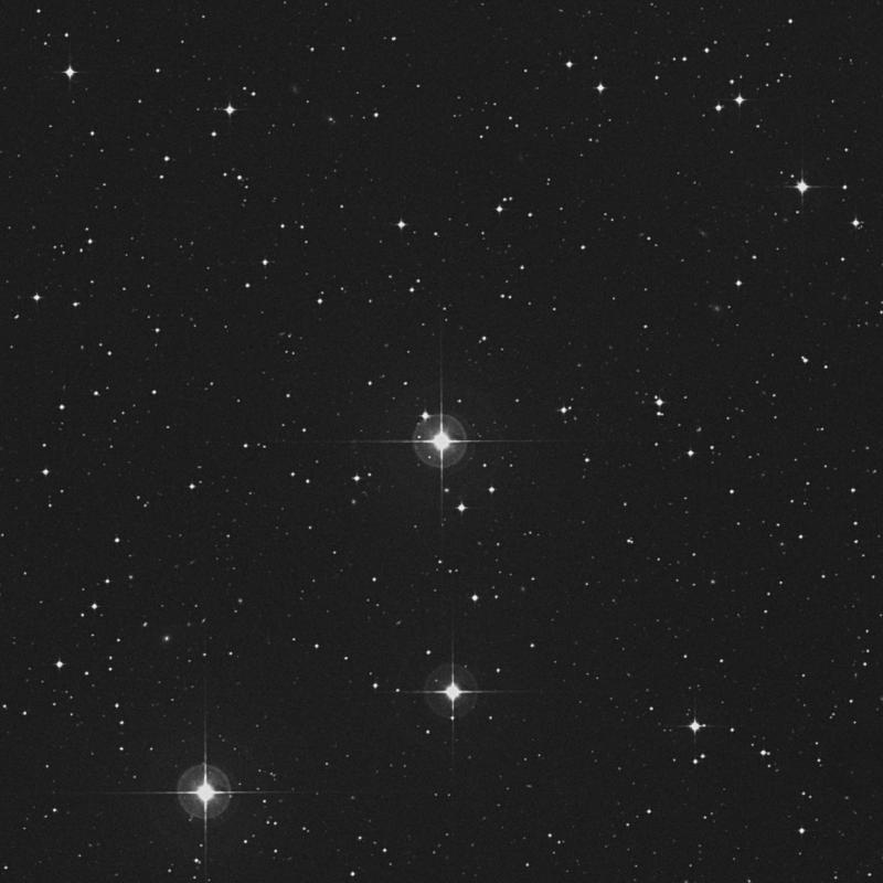 Image of 37 Hydrae star