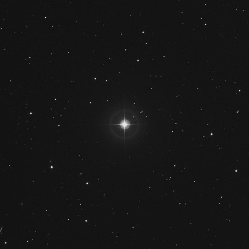 Image of 43 Lyncis star