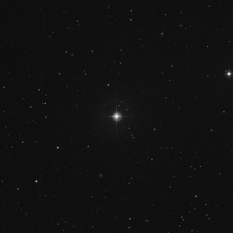 Image of 13 Leonis star