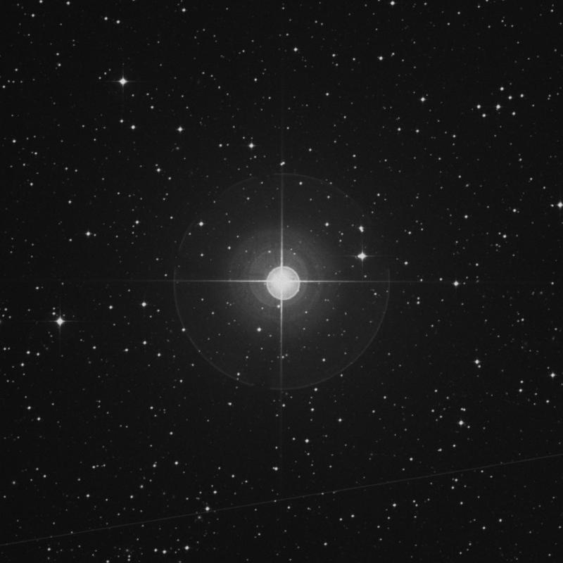 Image of Felis - HR3923 star