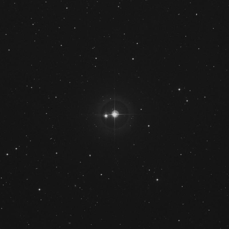 Image of HR426 star
