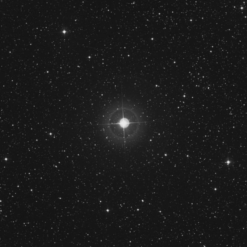 Image of χ Cassiopeiae (chi Cassiopeiae) star