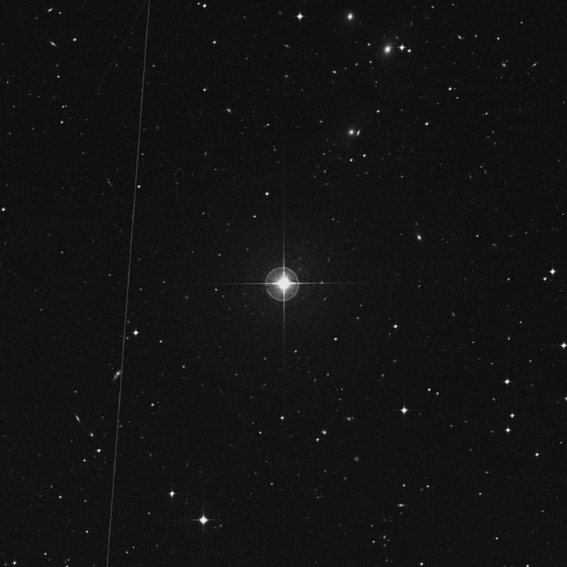 Image of HR466 star