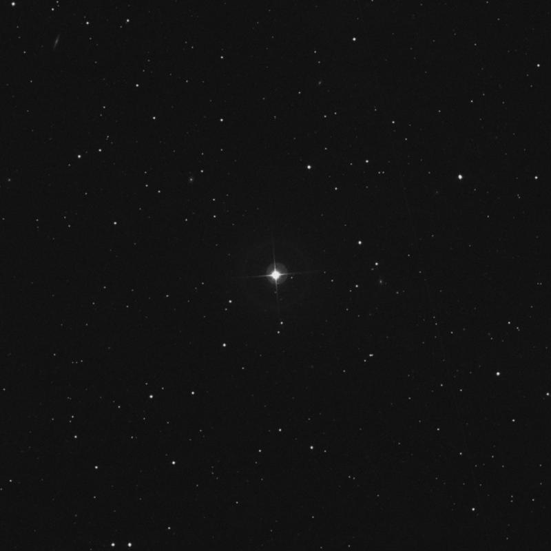 Image of HR4016 star