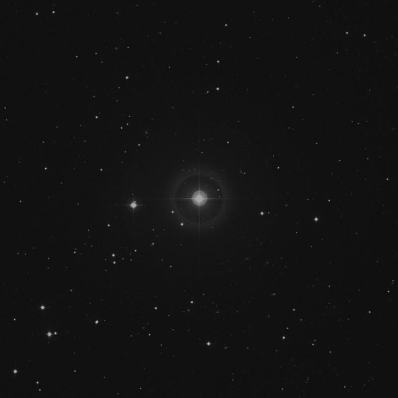Image of 44 Leonis star