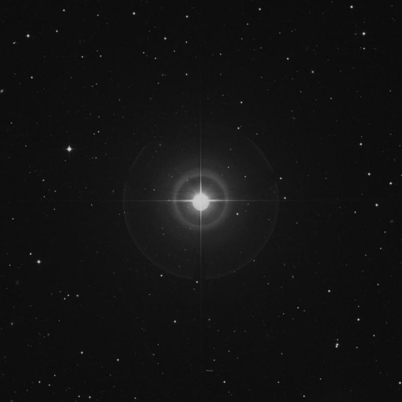 Image of β Leonis Minoris (beta Leonis Minoris) star