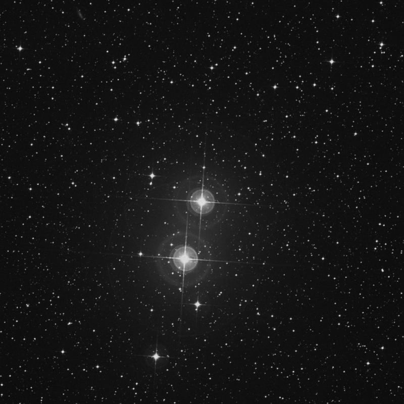 Image of δ1 Chamaeleontis (delta1 Chamaeleontis) star
