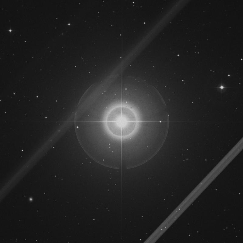 Image of Merak - β Ursae Majoris (beta Ursae Majoris) star