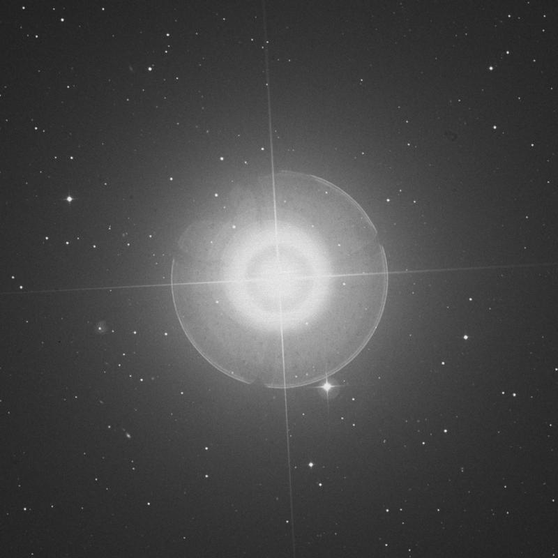 Image of Dubhe - α Ursae Majoris (alpha Ursae Majoris) star