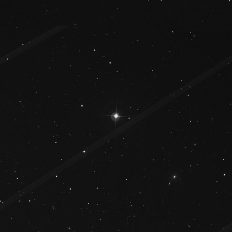 Image of HR4388 star