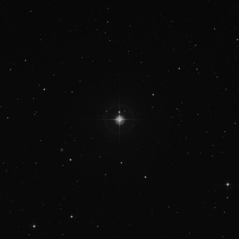 Image of 81 Leonis star