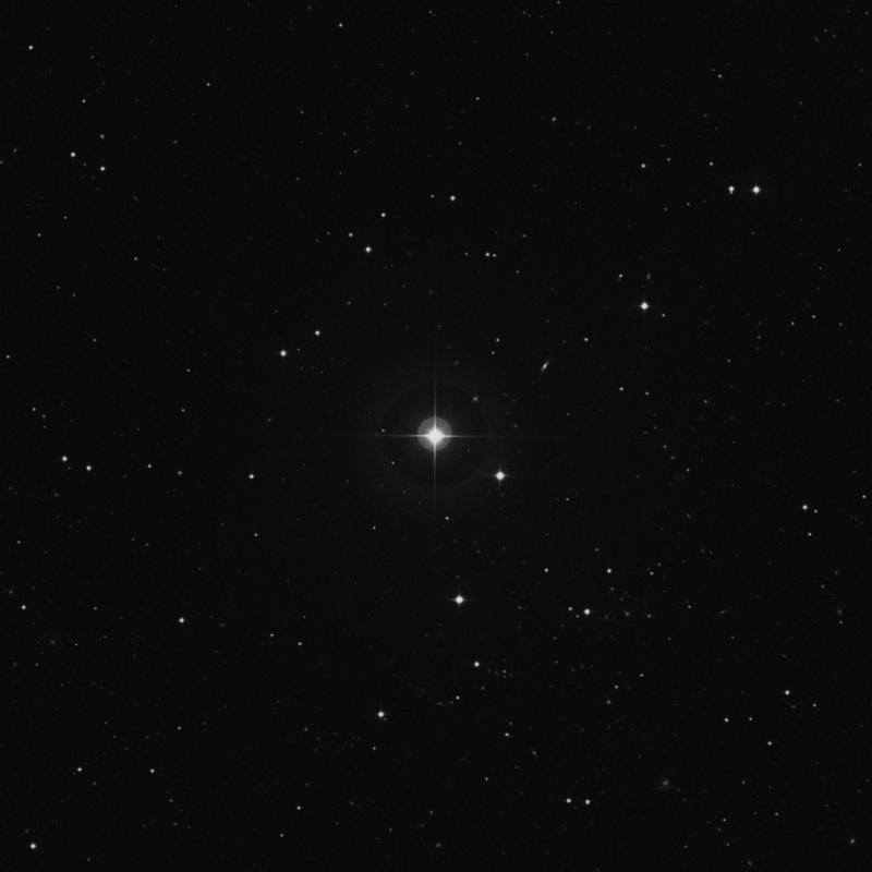 Image of HR4435 star