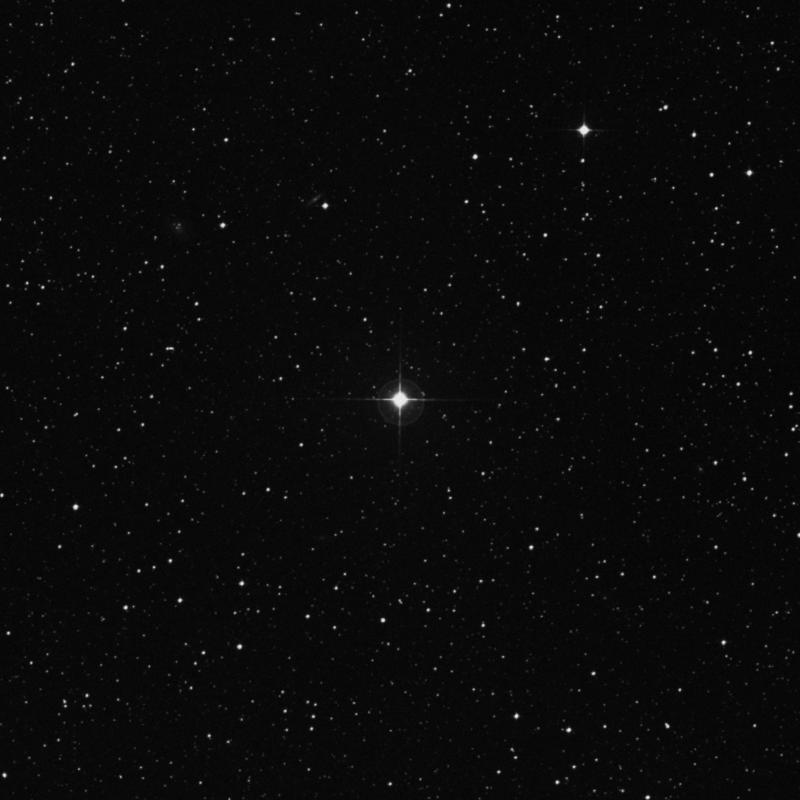 Image of HR4462 star