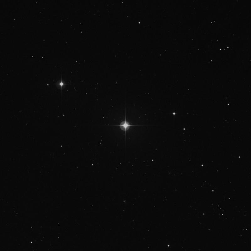 Image of 95 Leonis star