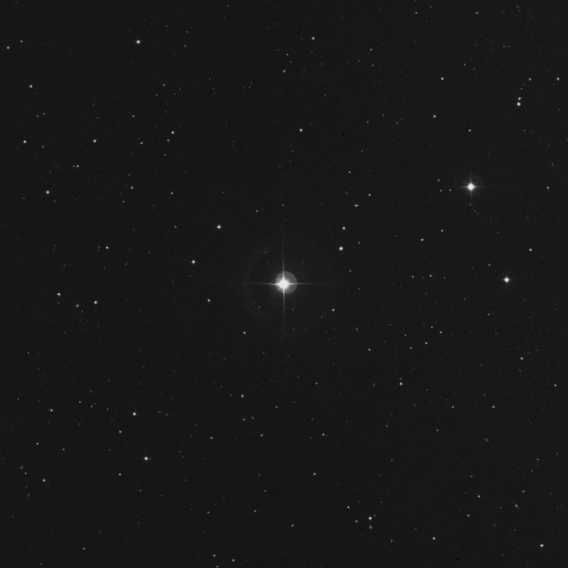 Image of 8 Comae Berenices star