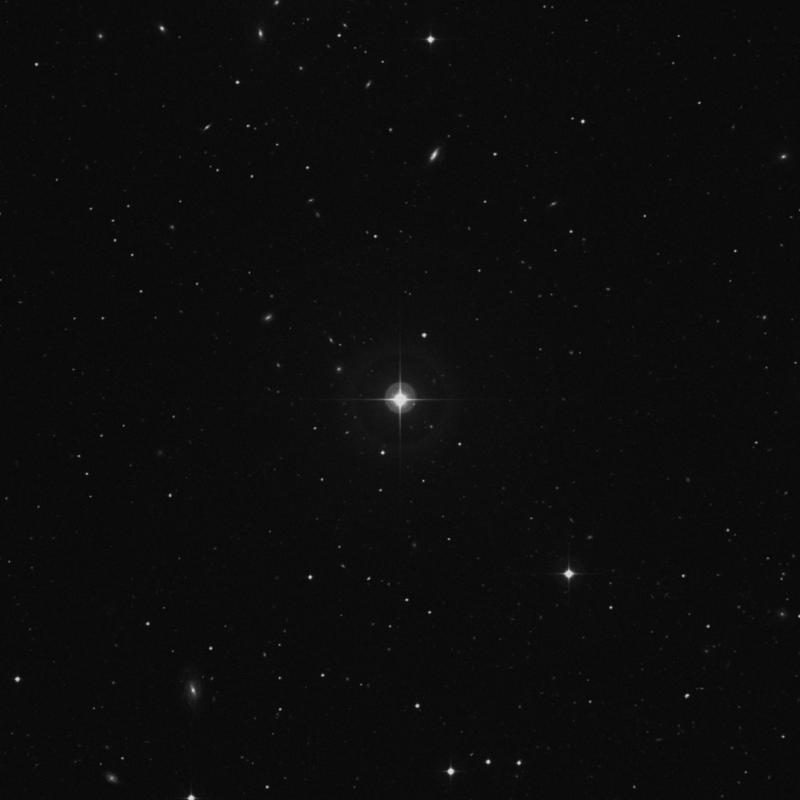 Image of 9 Comae Berenices star