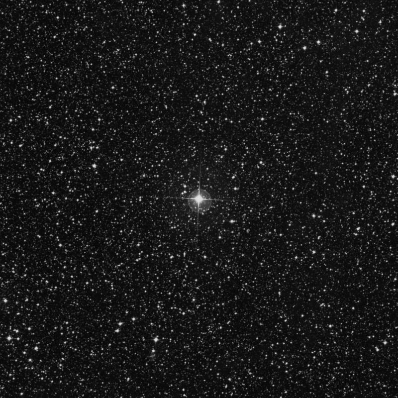 Image of ζ1 Muscae (zeta1 Muscae) star