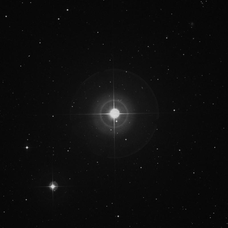 Image of γ Comae Berenices (gamma Comae Berenices) star