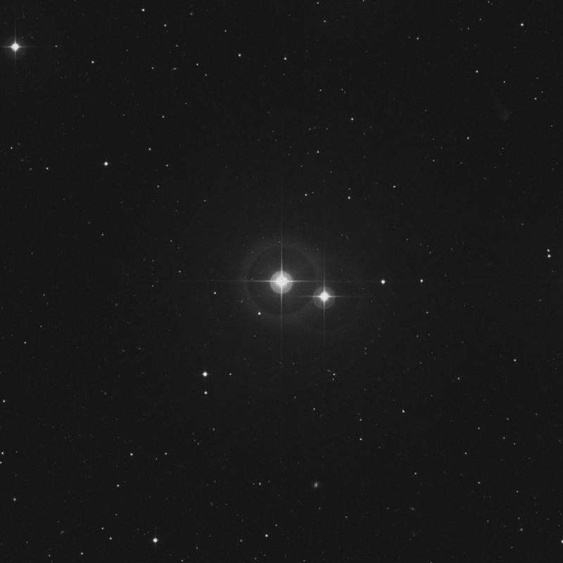 Image of 17 Comae Berenices star