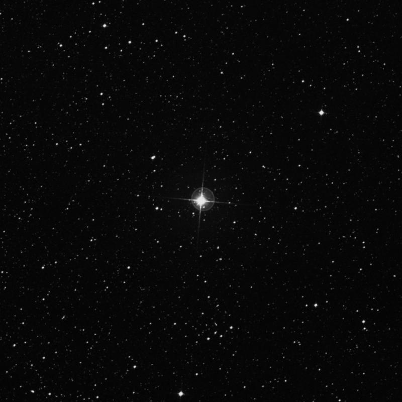 Image of γ Muscae (gamma Muscae) star