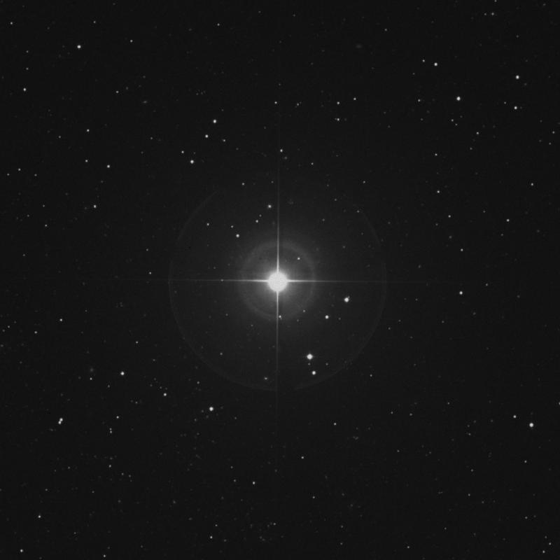 Image of Chara - β Canum Venaticorum (beta Canum Venaticorum) star