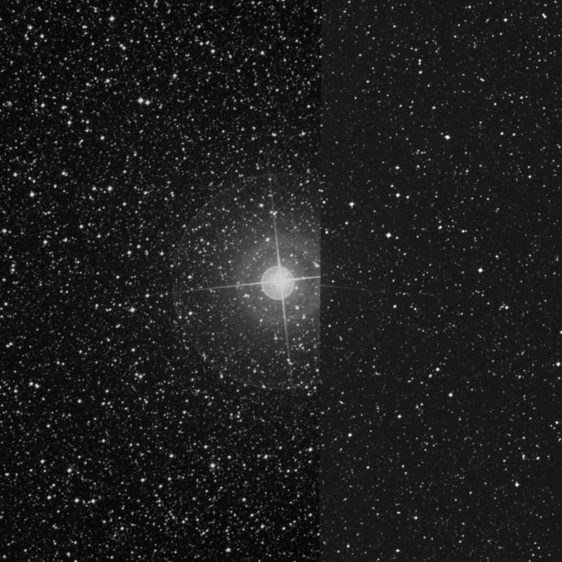 Image of α Muscae (alpha Muscae) star