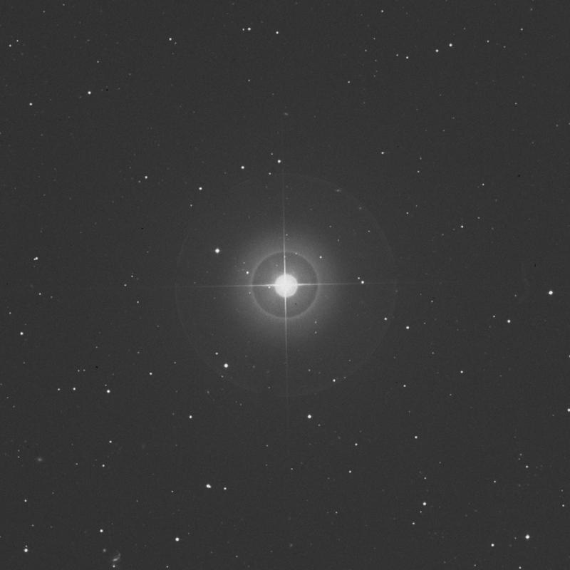 Image of La Superba - HR4846 star