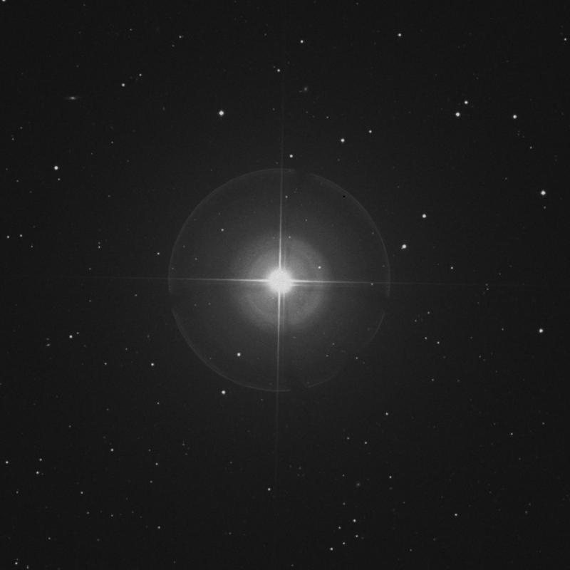 Image of α1 Canum Venaticorum (alpha1 Canum Venaticorum) star