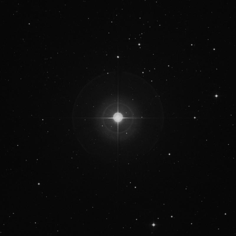 Image of 36 Comae Berenices star