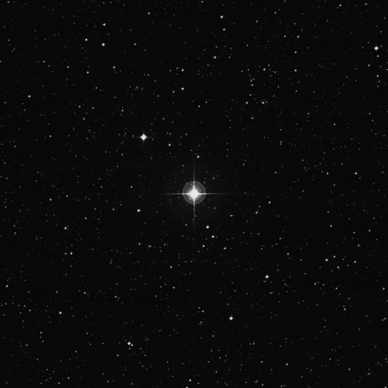 Image of δ Muscae (delta Muscae) star