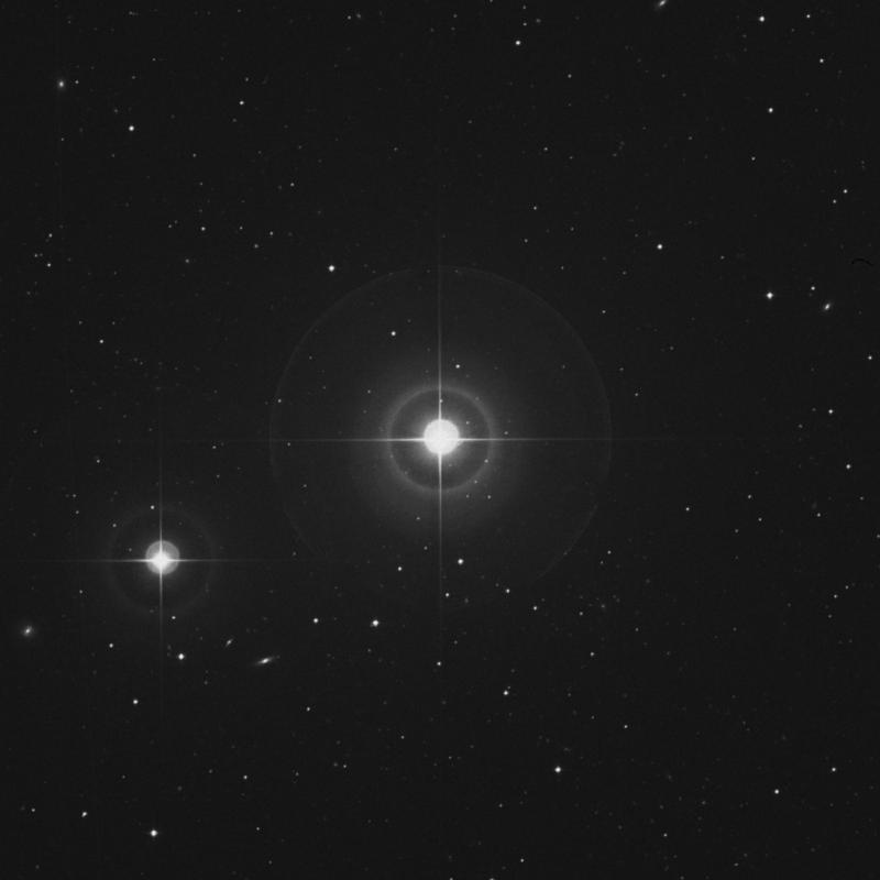 Image of 41 Comae Berenices star