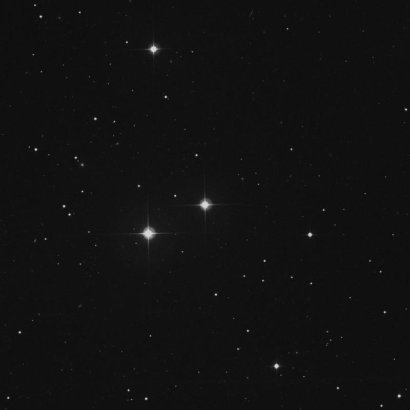 Image of 15 Canum Venaticorum star