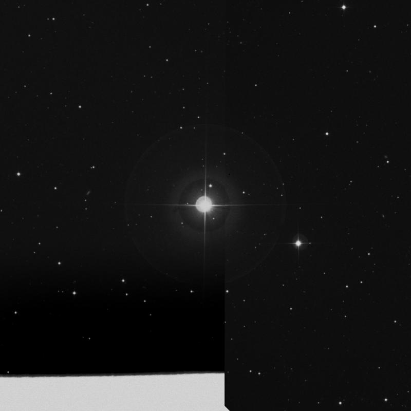 Image of α Comae Berenices (alpha Comae Berenices) star