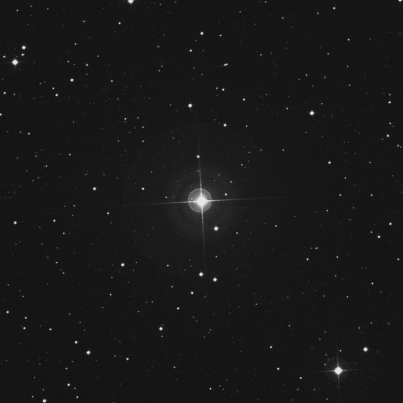 Image of HR505 star