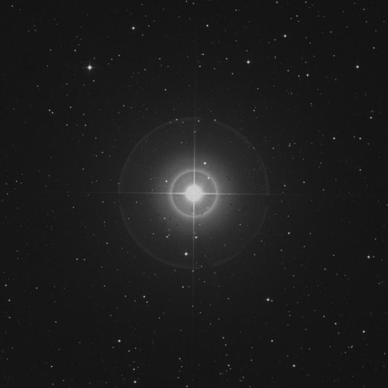 Image of Mothallah - α Trianguli (alpha Trianguli) star