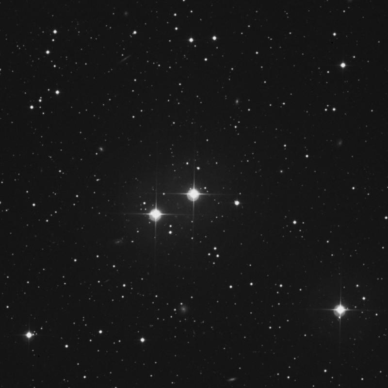 Image of HR556 star