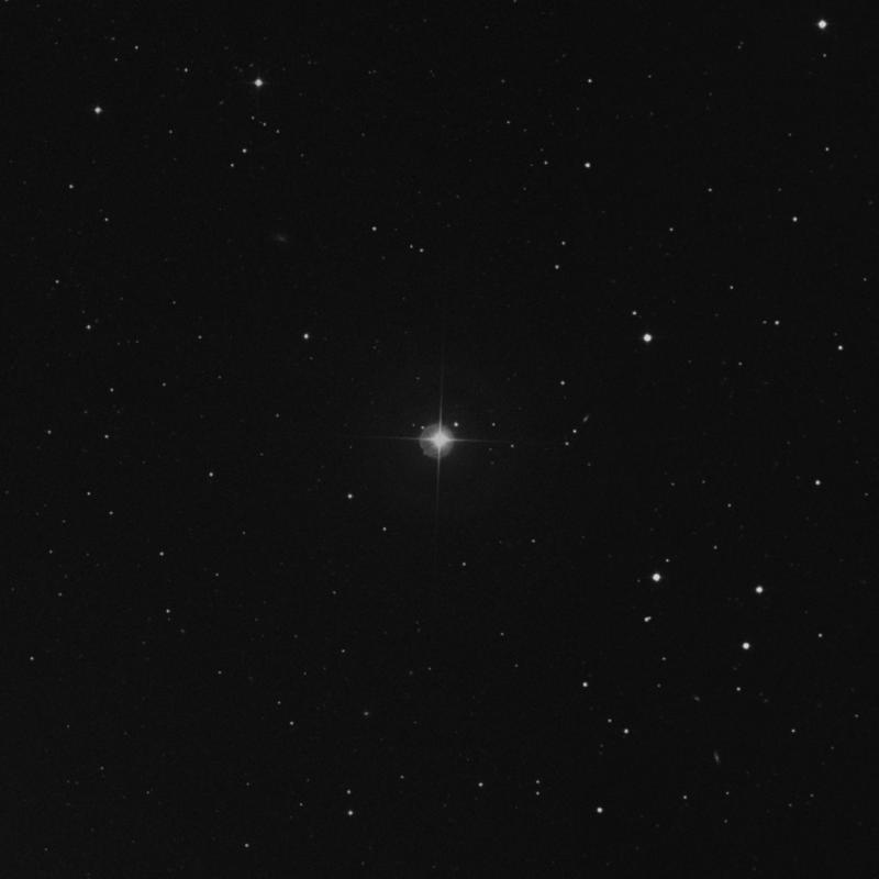 Image of 19 Canum Venaticorum star