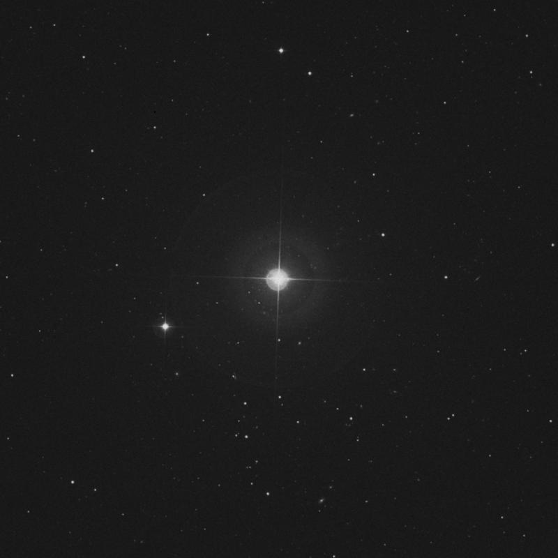 Image of 20 Canum Venaticorum star