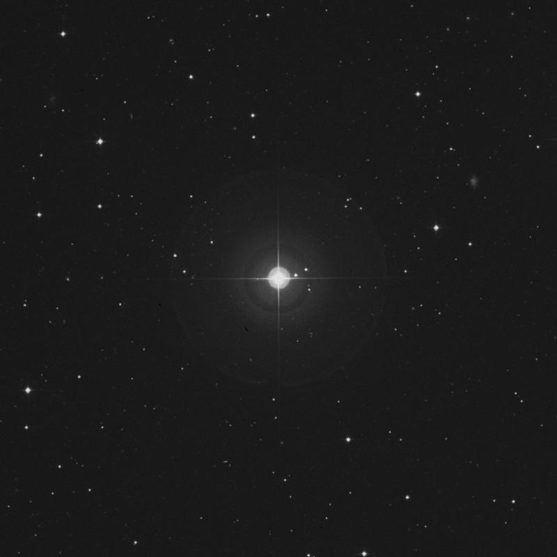 Image of 24 Canum Venaticorum star