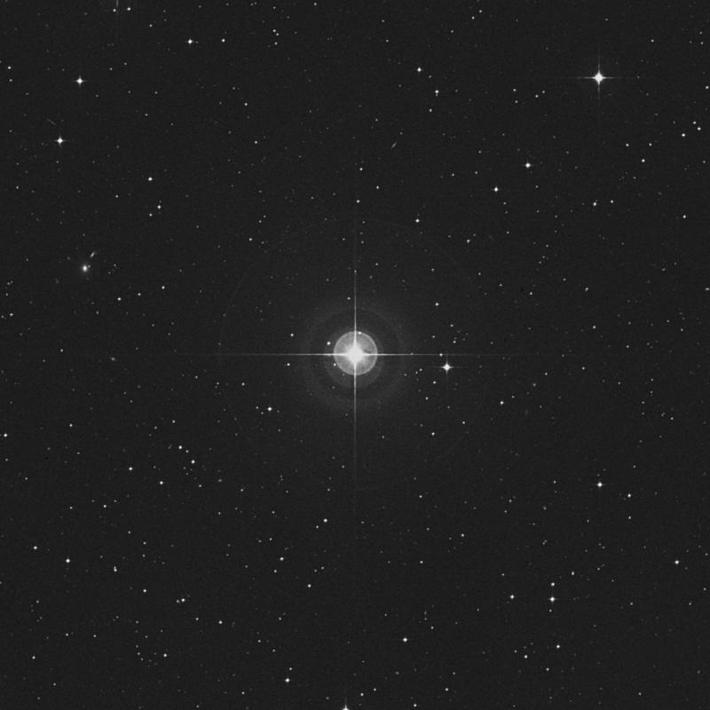 Image of 83 Virginis star