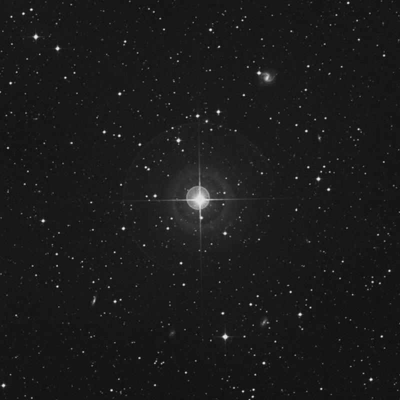 Image of 50 Hydrae star