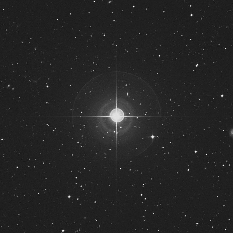 Image of Elgafar - φ Virginis (phi Virginis) star