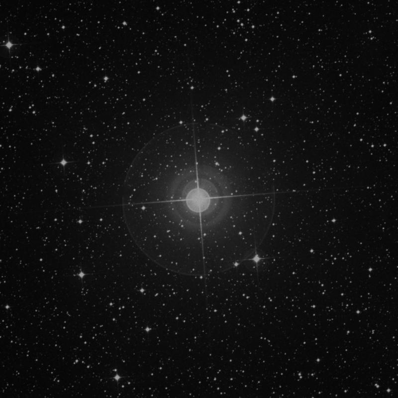 Image of α Apodis (alpha Apodis) star